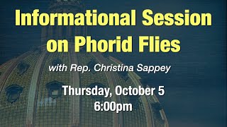 Rep Sappey Informational Session on Phorid Flies [upl. by Hanas]