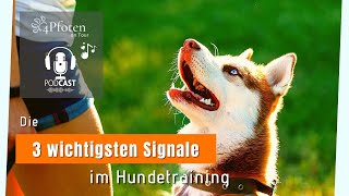 Podcast Die 3 wichtigsten Signale im Hundetraining [upl. by Eybba836]