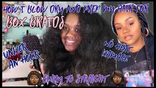 how i blow dry and prep my hair for box braidseasiest and fast way under an hour no damage T•M [upl. by Haek]