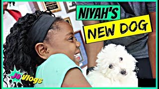 Niyahs New Dog  Family Vlogs  JaVlogs [upl. by Netsyrk]