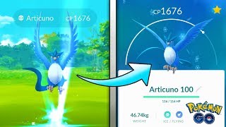 100 IV LEGENDARY ARTICUNO CAUGHT amp MAXED OUT IN POKEMON GO  CRAZY DRAGONITE SPAWN [upl. by Nimaynib]