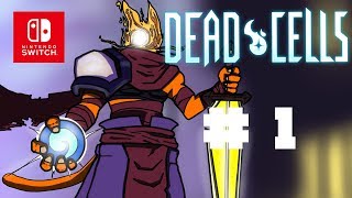 Renaissance  Dead Cells Switch 01  Lets Play FR [upl. by Bashemeth]