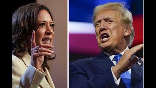 WHO WINS Kamalaharris joebiden trump biden bidenharris election democrats donaldtrump [upl. by Emee674]