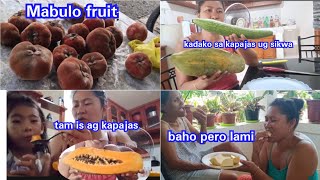 Mabolo fruit gibahuan si Papa Gabriel maskin arang lamia [upl. by Vieva]