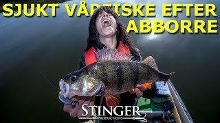 Sjukt Vårfiske Efter Abborre [upl. by Marrissa]