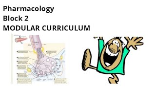 Pharmacology of Block 2  Part 1   MSK Module  All topics [upl. by Durwood]