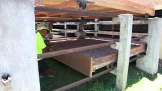 Cocoa Bean Drying Racks [upl. by Nester]