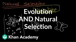 Introduction to Evolution and Natural Selection [upl. by Elletnahc]