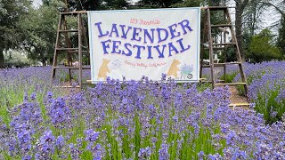 LAVENDER FESTIVAL 2022 [upl. by Zulema862]