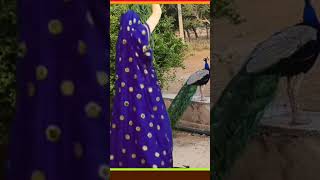 bollywood music song newsong tseries krdevta dance meenageet [upl. by Gavra]