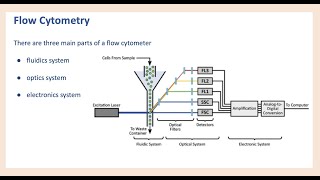 Flow Cytometry 101  Basic Principles amp Data Analysis [upl. by Orsini]