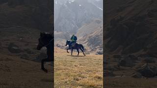 Дорога к озеру КельСуу  Kel Suu Kyrgyzstan кельсуу kelsuu kyrgyzstan eatandtravel camping [upl. by Ladew]