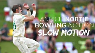 Anrich Nortje Bowling Action SlowMotion [upl. by Reisfield404]