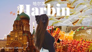 CHINA DIARIES 🇨🇳 harbin visiting family homemade dumplings sophias cathedral amp zhongyang street [upl. by Linette]