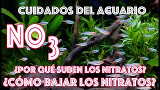 Cuidados del Acuario ¿Por qué suben los nitratos ¿Cómo puedo bajar los nitratos del acuario [upl. by Nyvlem]