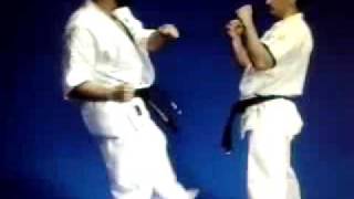 Seiwakai  Mae Mawashi Kubi Geri  Kancho Ademir da Costa [upl. by Ahsinahs728]