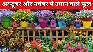 अक्टूबर और नवंबर में उगाने वाले फूल Flowers To Grow In October and November [upl. by Oirrad]