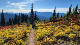 Fall mushroom foraging and hiking in Washington  White Pass  Pilot Ridge Loop 92124 [upl. by Appel]