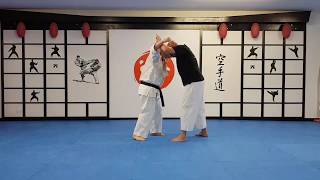 Karatepraxis Bunkai Drills 1 Heian  Pinan Yondan [upl. by Nitnerb168]