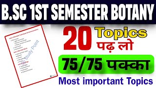 BSc 1st semester Botany important topics  Bsc 1st semester important questions spstudypoint [upl. by Aubarta]