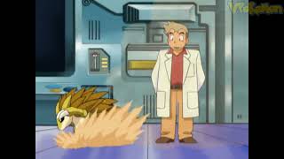 Sandslash attacks Professor Oak  Professor Oak Funny Moments [upl. by Onurb]