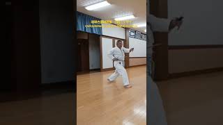 琉球古武道釵術 型二丁サイ釵 ryukyukobudo saijutsu nicho sai 忍者 ninja 京都 kyoto [upl. by Yttak]