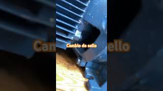 CAMBIO DE SELLO BOMBA PEDROLLO DE 55 HP [upl. by Enileoj]