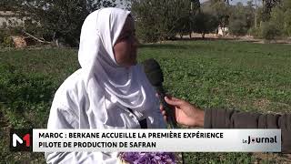 Berkane accueille la 1ère expérience pilote de production de safran [upl. by Andriette296]