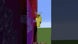 minecraft but my SPOOKY picture gets Squid Gamed 😱 shorts [upl. by Elenahc]