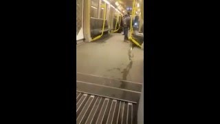 Un migrant urine dans un train à Berlin [upl. by Bela]