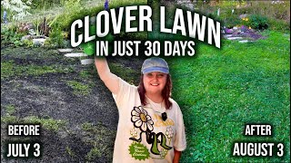 HOW TO Grow a CLOVER LAWN FAST RESULTS  EASY amp CHEAP DIY amp How to mow with reel mower [upl. by Joby]