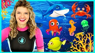 Sea Animals for Kids  Sea Creatures for Kids  Learn Sea Animals for Children with Speedie DiDi [upl. by Prem]