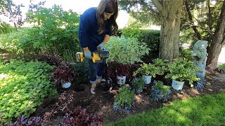 Planting in My Parent’s Garden 🥰🌿 Garden Answer [upl. by Alegnaoj966]