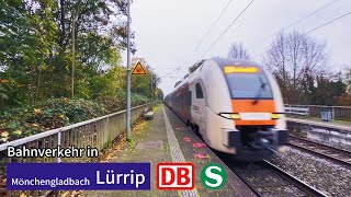 Bahnverkehr in MGladbachLürrip🇩🇪 Bahnhofs Spotting  01112024 [upl. by Elagiba]