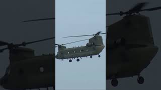 CH47 Chinook helicopter field ops shorts [upl. by Aipotu]