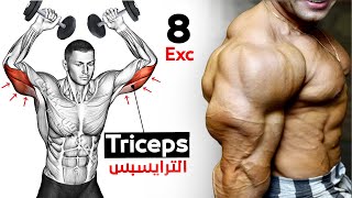 How To Build Your Triceps workout Fast 8 Effective Exercises [upl. by Armil]