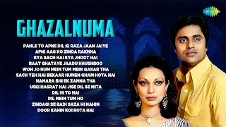 Ghazalnuma  Jagjit Singh amp Chitra Singh  Dil Mein Tum Ho  Love Ghazals  Hindi Ghazals  Gazal [upl. by Ikcin719]