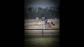 Got 5th in the show with a dressage score of 28 fypシ゚ horse eventing blowup greenscreen [upl. by Aushoj]