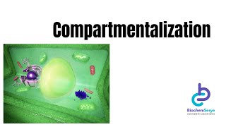 Part 6  Compartmentalization  BiochemSerye [upl. by Eiramanna]