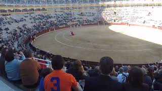 Spain 2016  Plaza de Toros Madrid Bullfighting 4 of 4 Video taken by GoPro Hero 4 [upl. by Ytisahcal300]