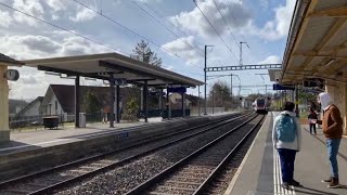 Satigny to La Plaine Geneva Switzerland by Train [upl. by Warner]