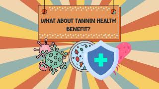 What Is A Tannin  Tannins and human health [upl. by Eimot]