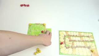 Master Carcassonne Setup and Gameplay  Ultimate Guide [upl. by Igic992]