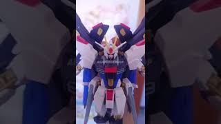 Strike Freedom Revive Gao Gao HG 1144 [upl. by Adnert]