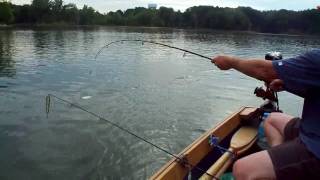 Easy Pan fishing with planer bobbershow to have success trolling for bass and crappies [upl. by Karr]