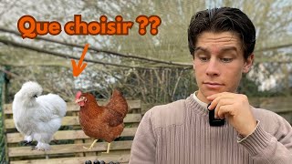 Poules Pondeuses VS Poules d’Ornements que choisir [upl. by Meggi]