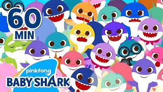 🔍Where is Baby Shark Lets Find Together  Compilation Hide and Seek  Baby Shark Official [upl. by Choong]