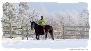 Walking wonderland riding bareback GaitedHorse [upl. by Elayor514]