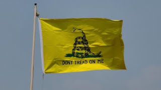 07292024 Raising The Gadsden Flag On Our New Pole [upl. by Lakim]