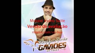 ANSEIOS GAVIOES DO FORRO [upl. by Ahsinehs]